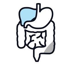 Hyperthermic Intraperitoneal Chemotherapy (HIPEC) Surgery